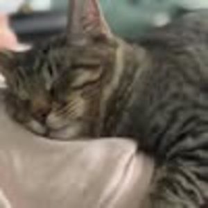 Meet your Posher, Whitney